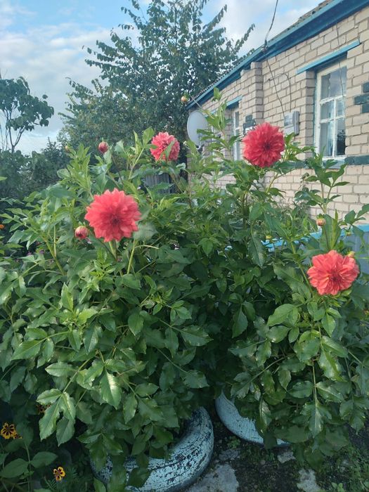 Продам дом в Имантау