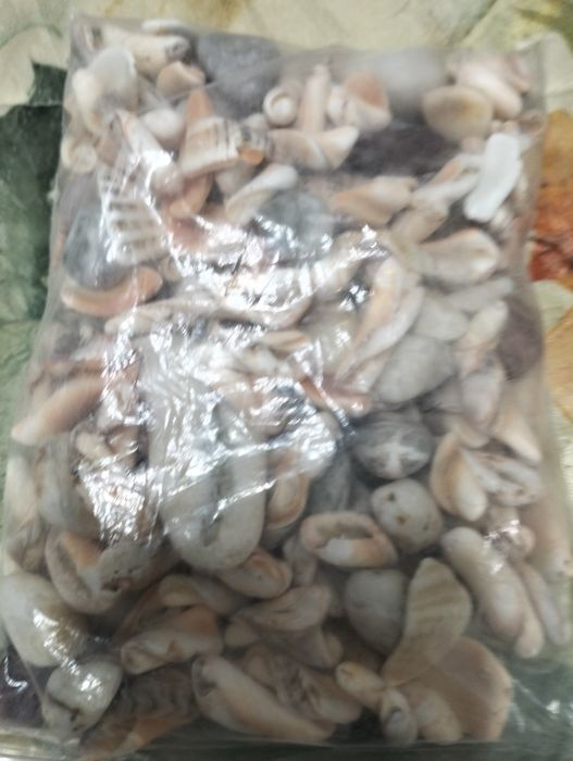 продам аксессуары для аквариума.