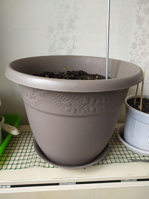 Продам горшок для цветов большой!