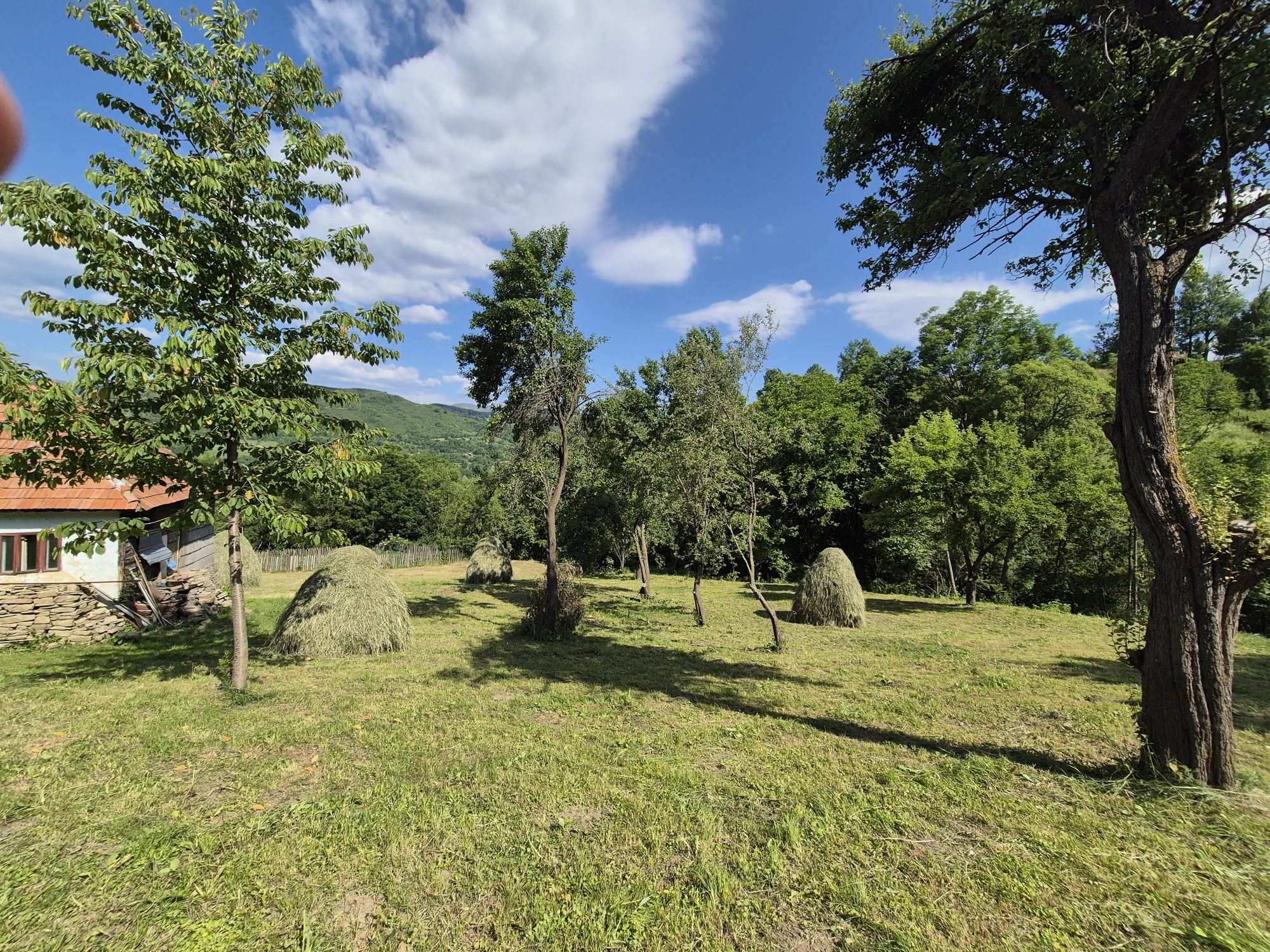 Vand teren parcelabil + casa traditionala in Valea Doftanei