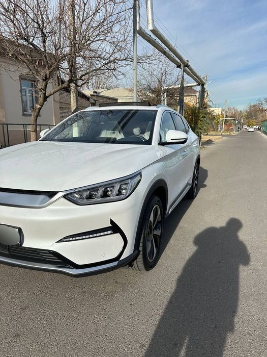 BYD song puls fleship