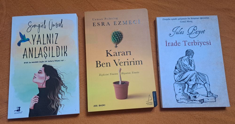 Turk tilidagi kitoblar sotiladi.
Türkçe kitaplar satılıktır.
Hepsi yen