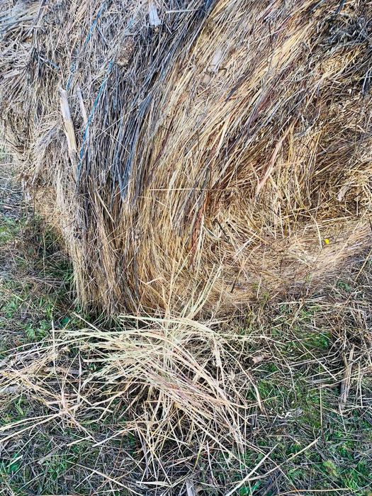 Baloti rotunzi de fan