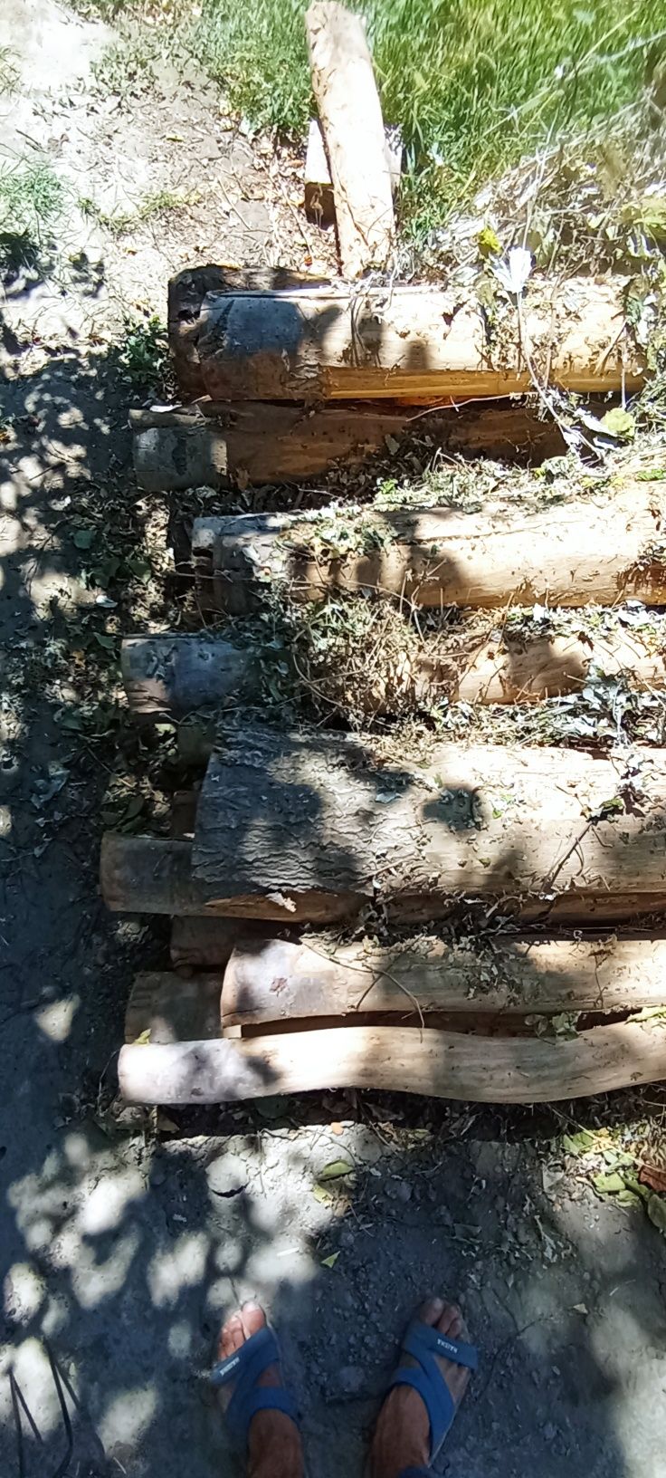Teraklar sotiladi 6M