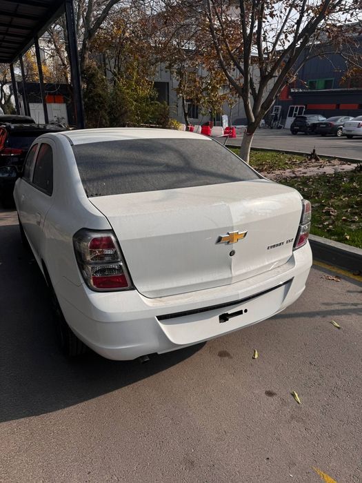 Srochno o'zini narxiga Cobalt midnight MCM eng full 2026