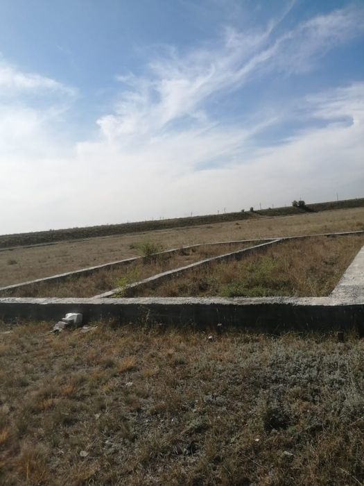 Продам или обмен на крс Обмен интересует