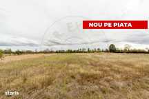 Teren intravilan 3000 mp, Oarja, Arges – amplasament excelent