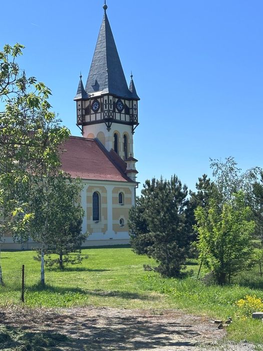 Casa si teren in centrul Dumbravei