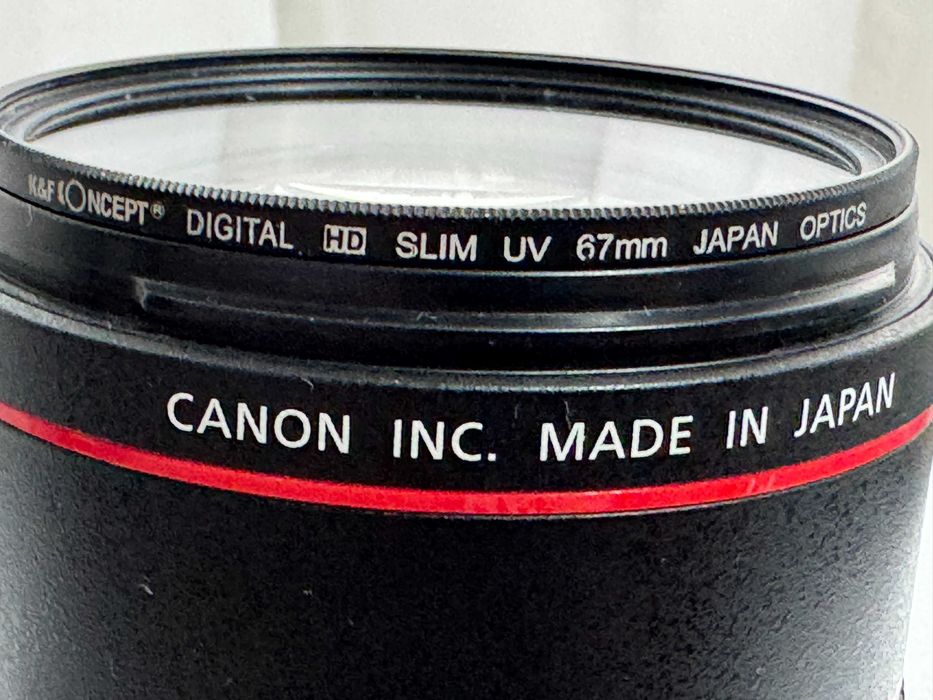 Canon EF 100mm F2.8L Macro IS USM