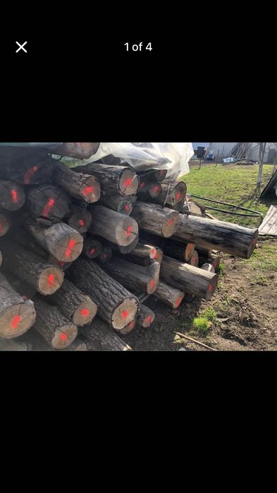 Stalpi gard stejar ,spalieri stejar