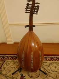 Arabic professional musician oud