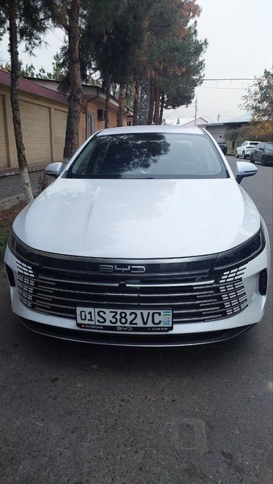 Бвд чазор актив 55