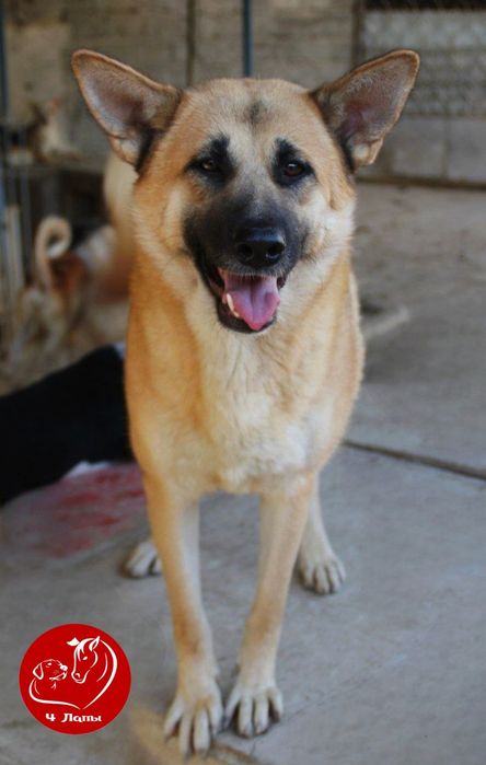 Подари Тео семью