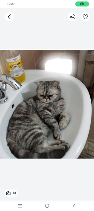 1 годик ха ха ха