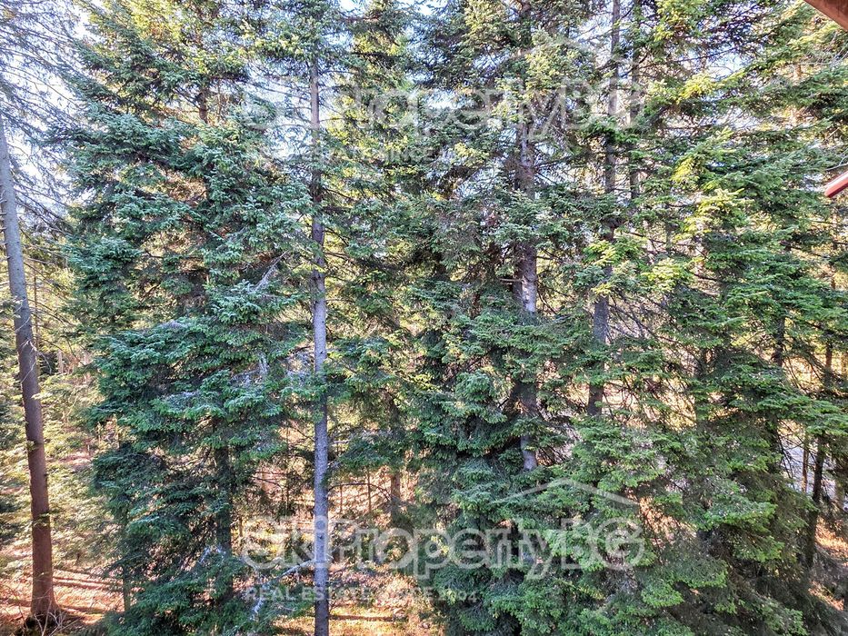 Продава се Едностаен апартамент в к.к. Боровец - 42 кв.м за 1384 €/кв.м - Снимка #10