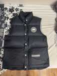 Vesta canada goose