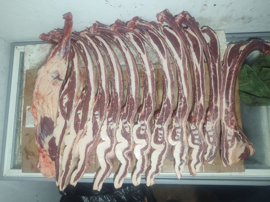 Продам байтал сирақ жарты ет с откорма