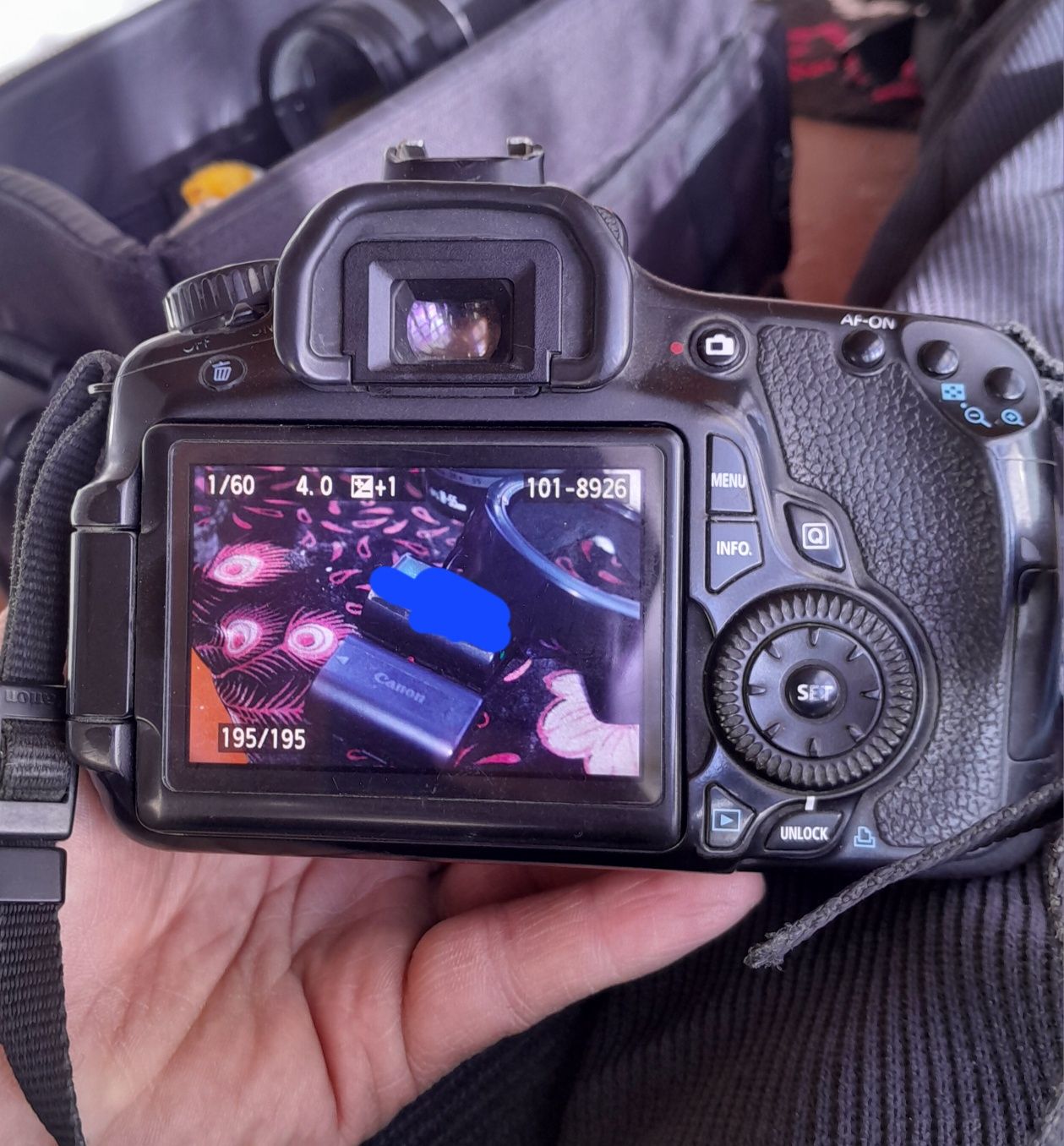 Canon60 Canon60 Canon60