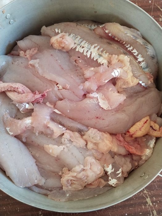 Филе, Фарш. Тап таза судактан.