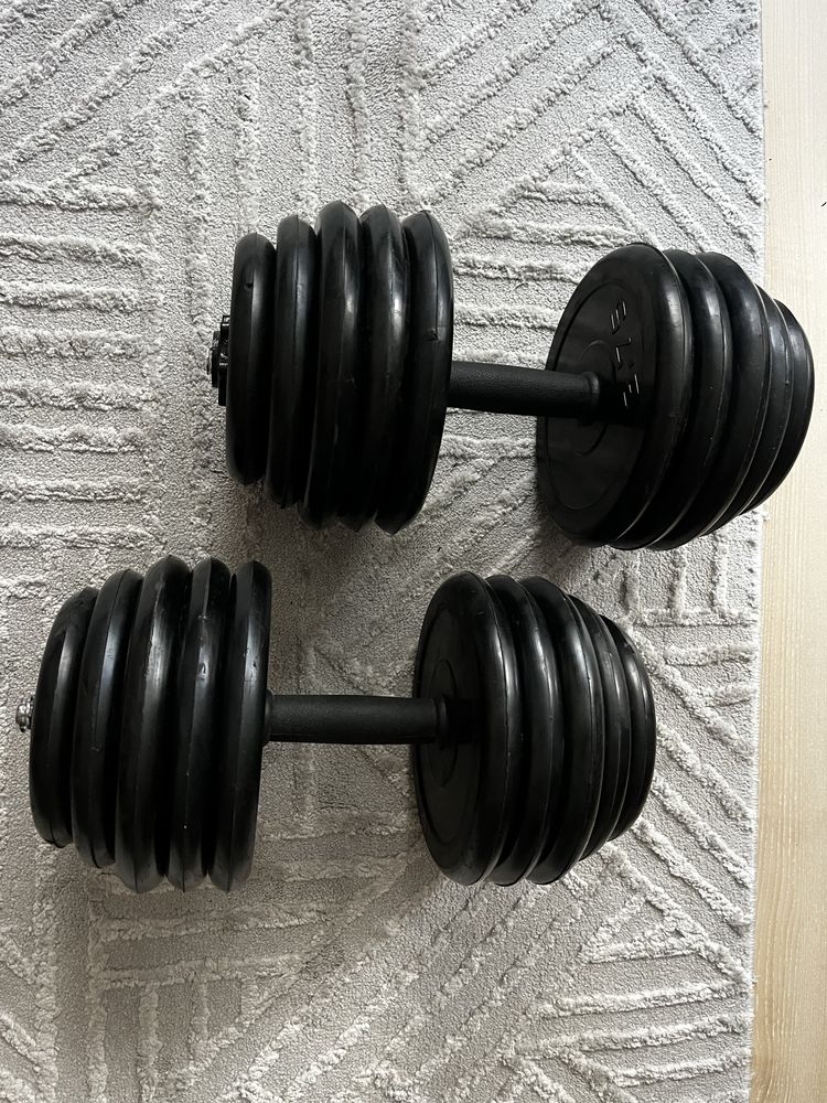 Дъмбели 2 х 20кг.
