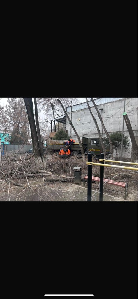 Спил деревьев, сан. обрезка.