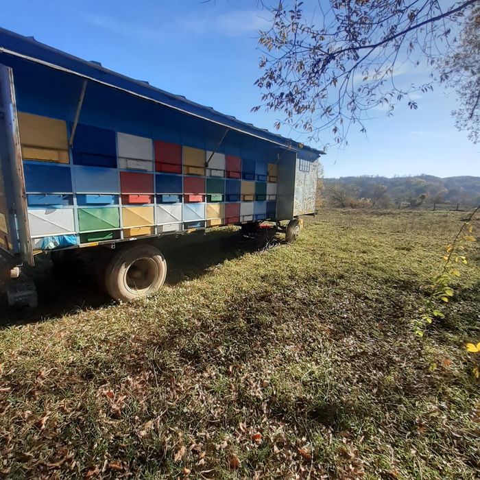 Vând pavilion apicol