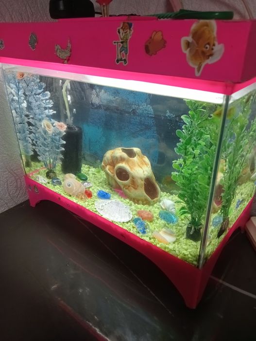 Продам аквариум срочно
