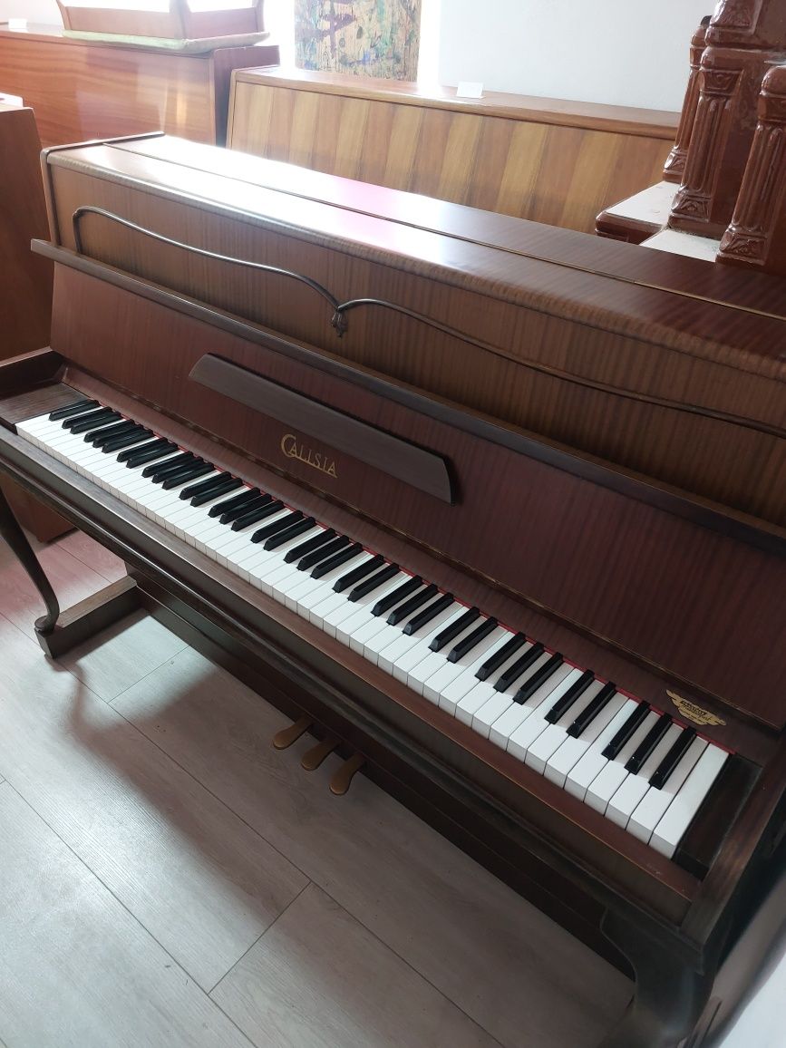 Pianina Calisia ( transport gratuit, garanție)