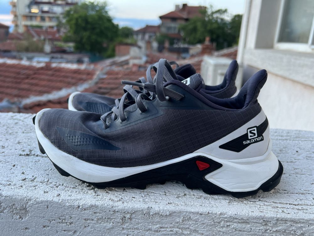 Salomon Alpha Cross 40 2/3