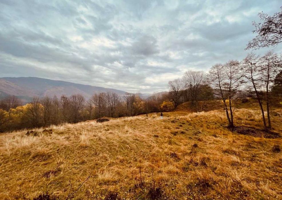 Teren 7.867 mp – Sat Slatina, Comuna Nucșoara | Natură pură, aer curat