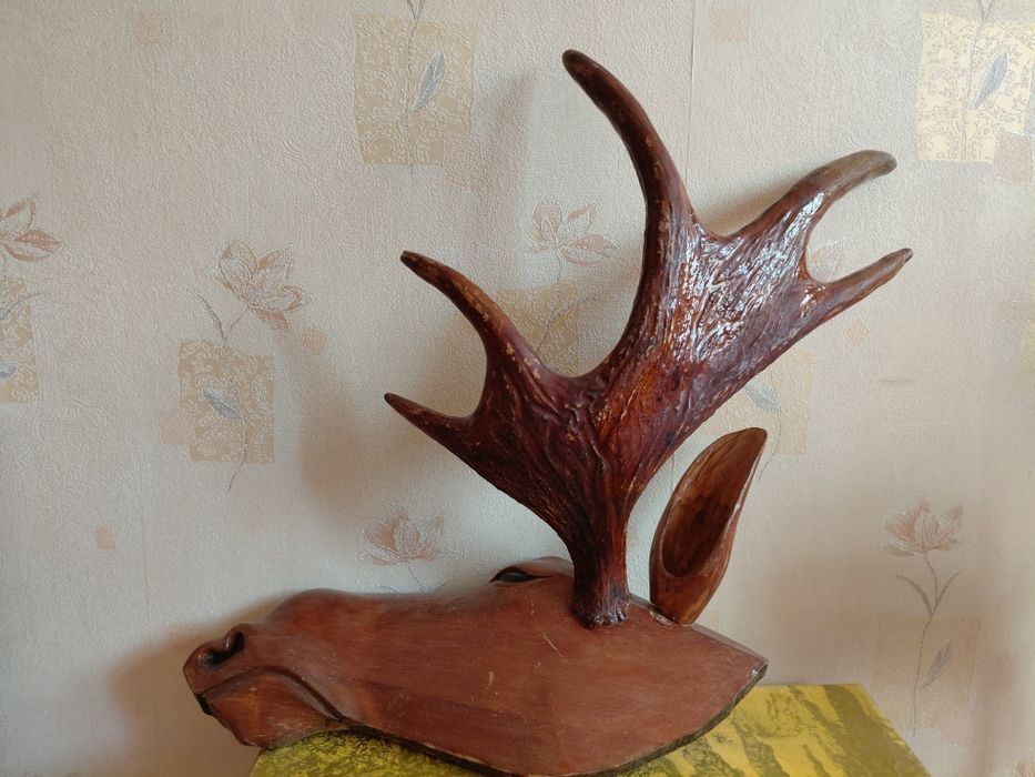 Рог натуральный.