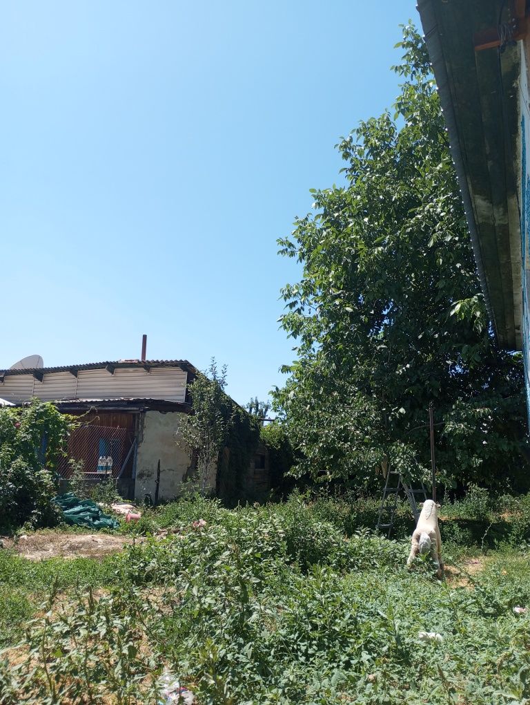 Продам дом срочно