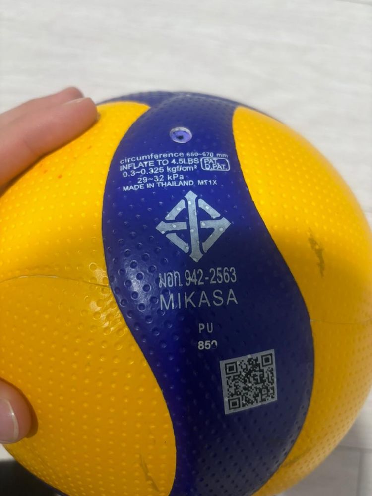 Мяч для Волейбола
