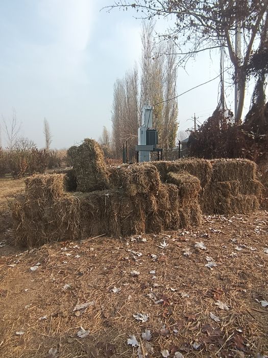 Chorva mollari uchun hashak pres