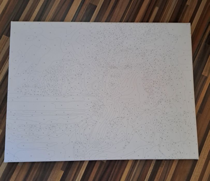 !!Намаление!! Комплект "Рисуване по номера" момиче с рози