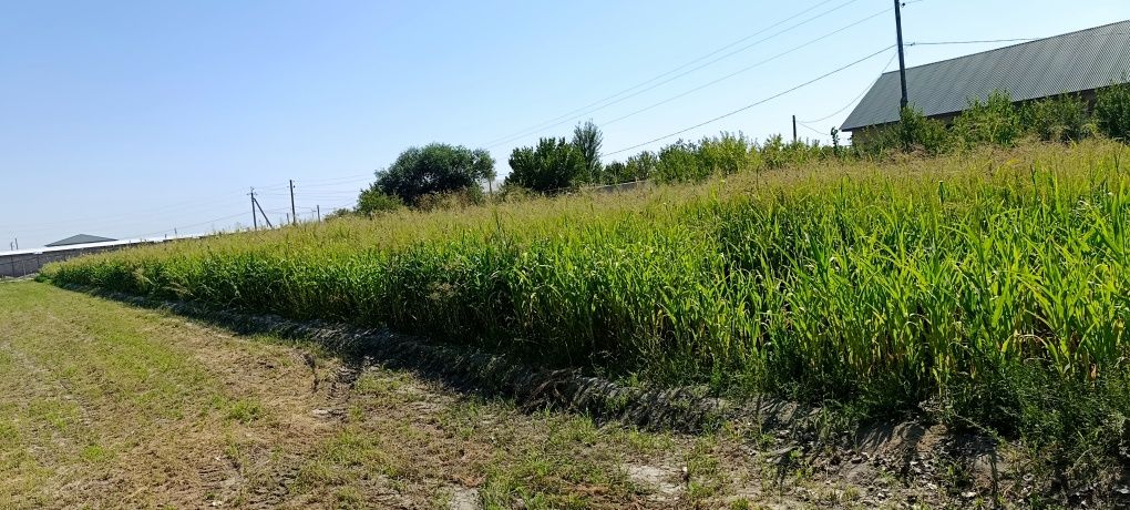 Supurgi sotiladi 25sotix