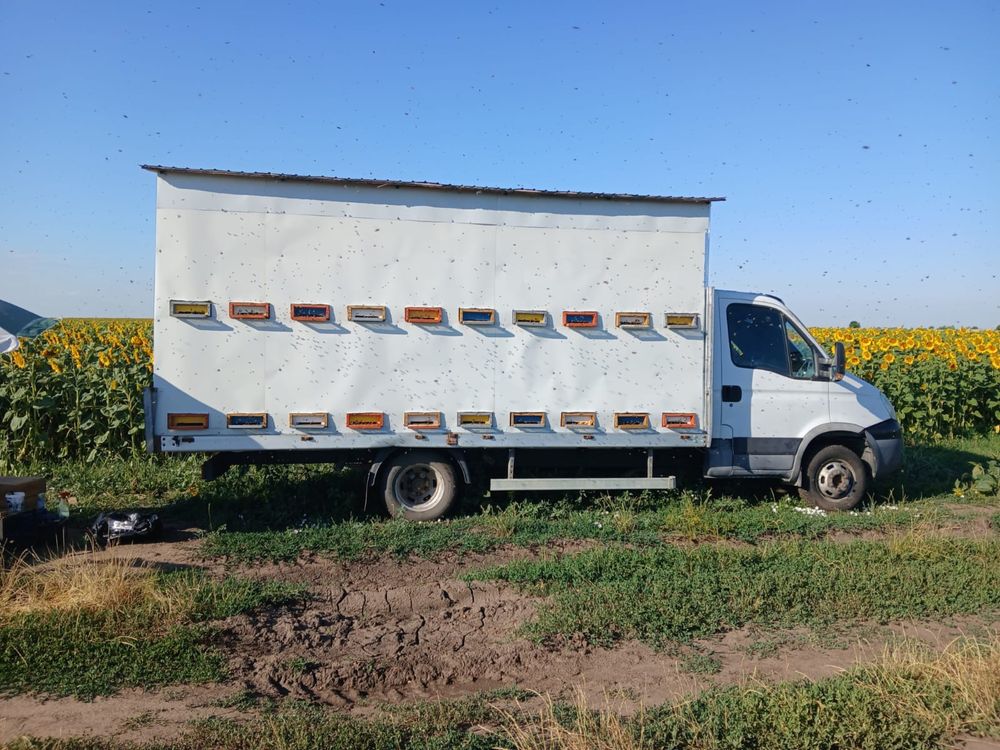 Iveco apicol omologat facut de la 0