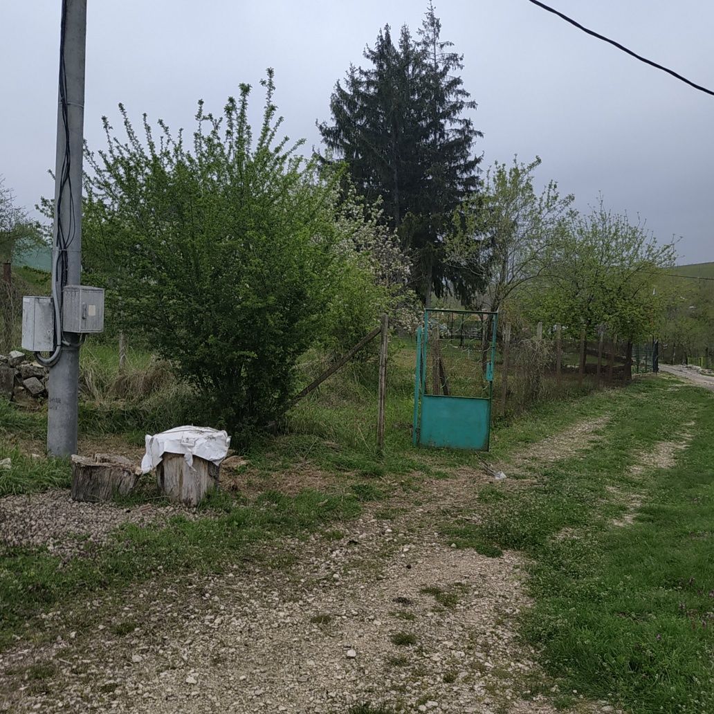 Дворно място с. Староселец собственик парцел