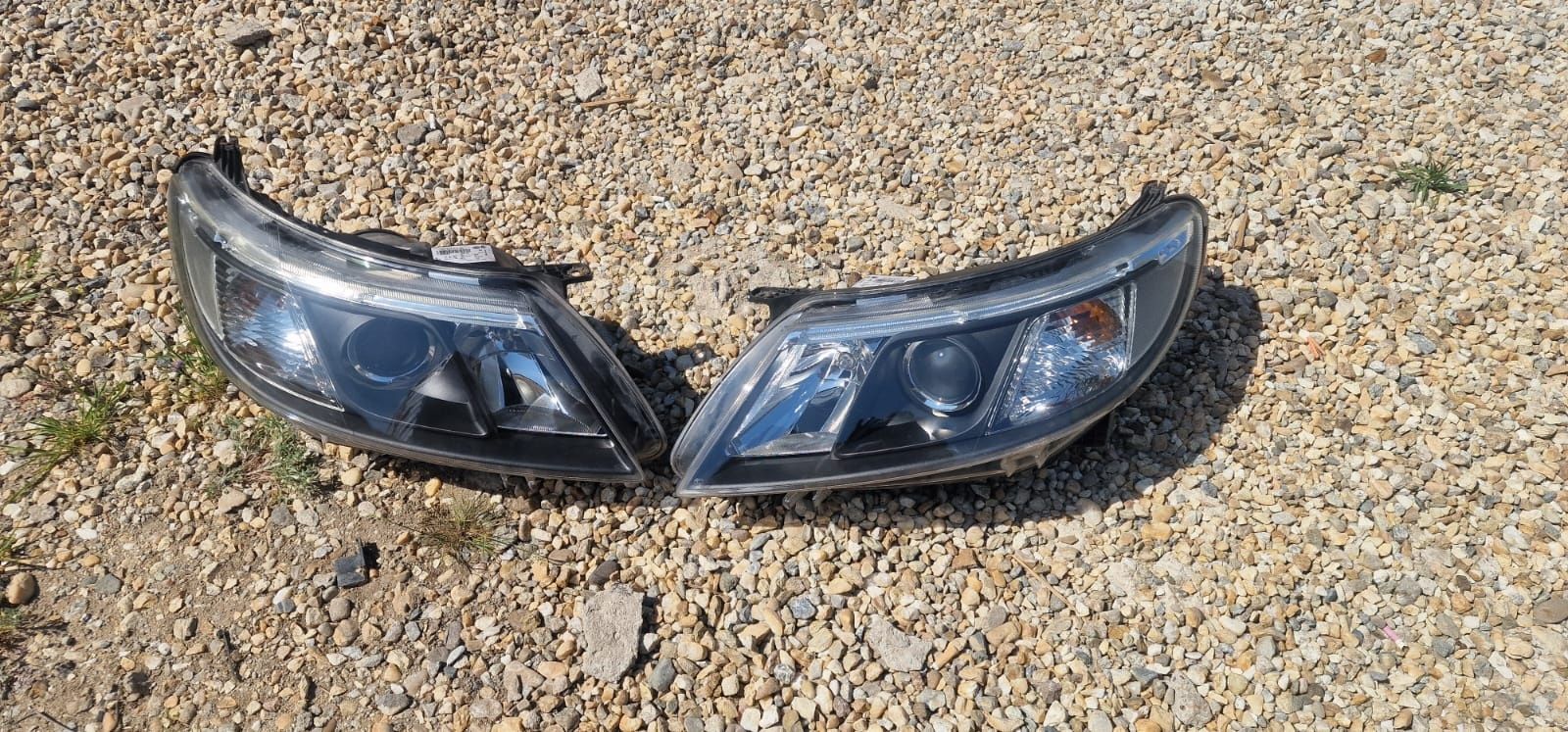 Faruri Saab xenon.