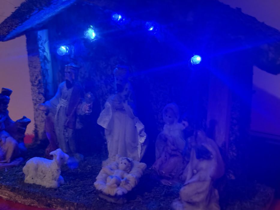 Елха 1 метър (напълно оборудвана )