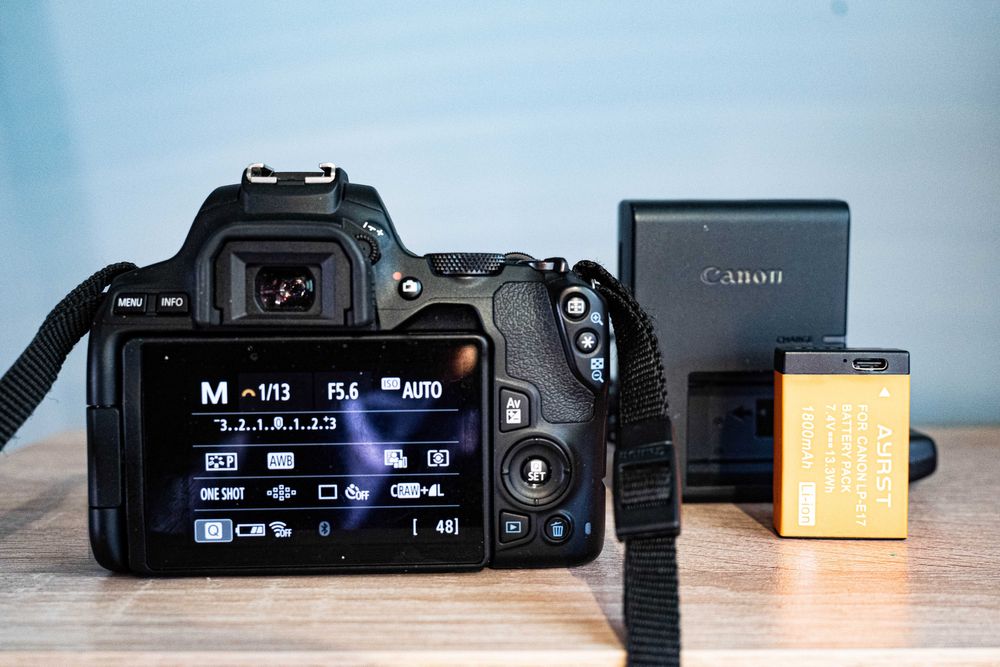 Canon 250D/zoom lens EF 28-105mm, 1*3,5-4,5