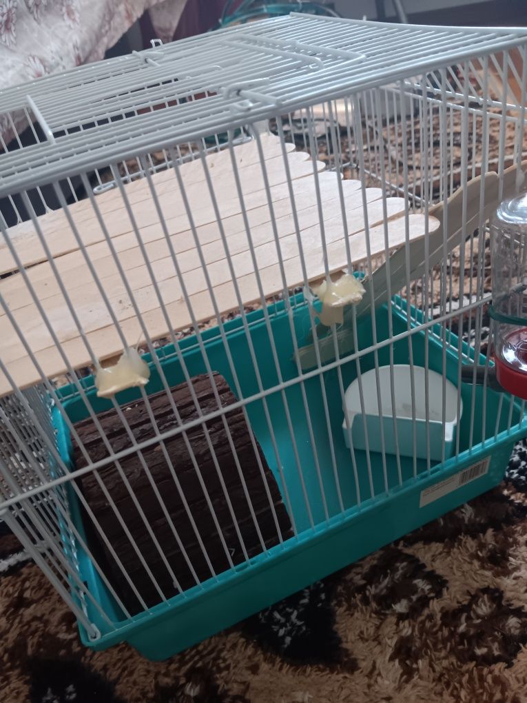 Doua custi hamster cu accesorii