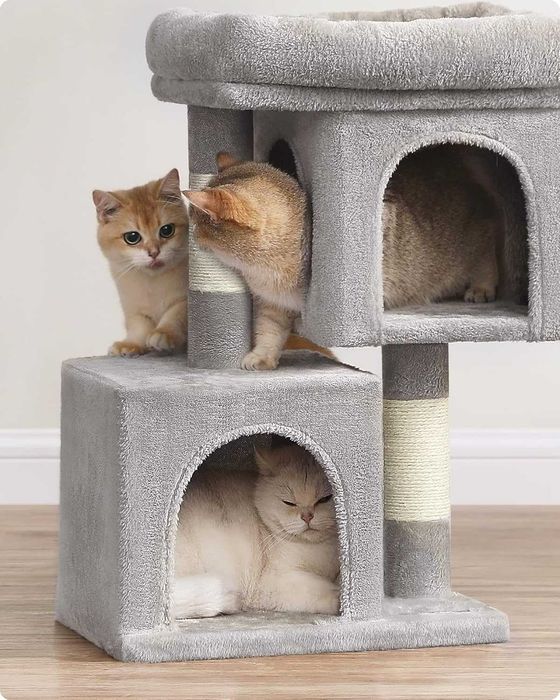 Различни модели катерушки за котки