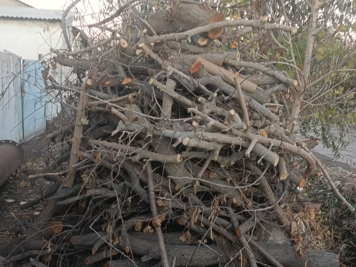 Oʻtin sotiladi kelishiladi