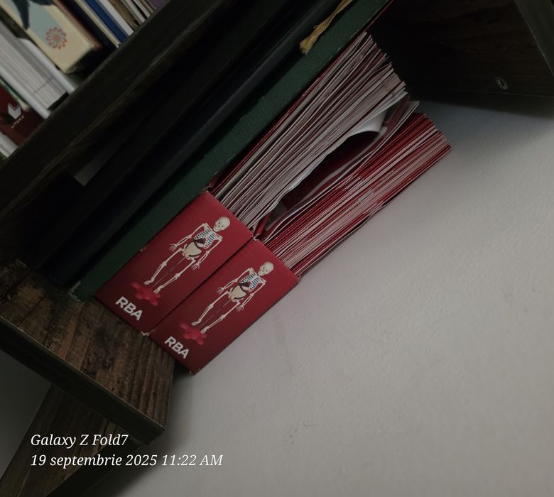 Vând schelete cu mușchi și organe