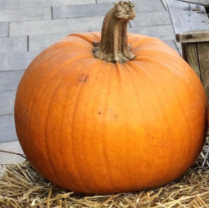 Продам тыкву домашняя