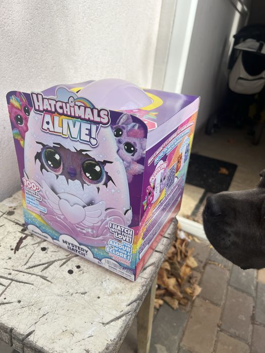 Jucarie de plus surpriza, Hatchimals, Pufficorn , noua sigilata