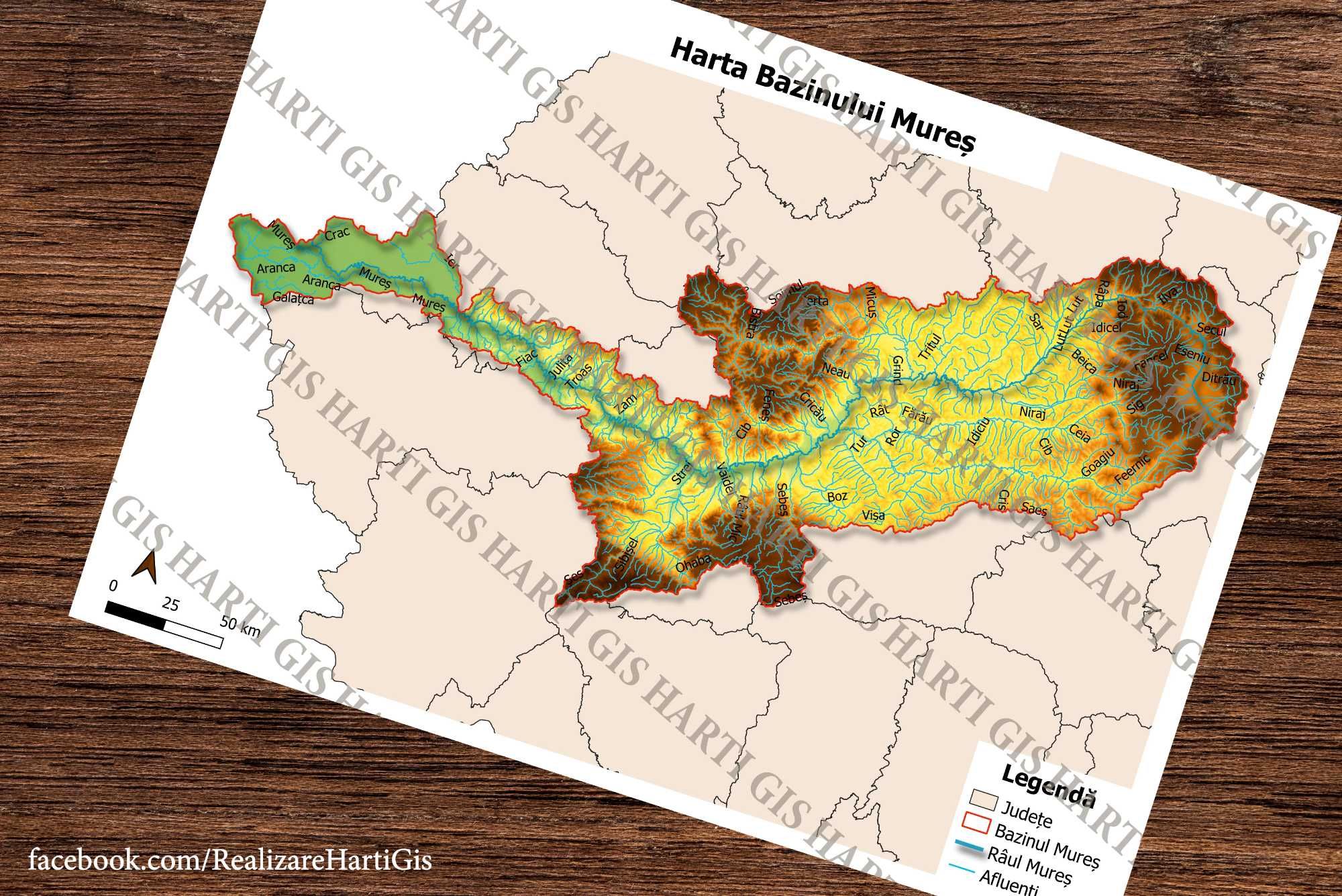 Harti gis licenta/master geografie