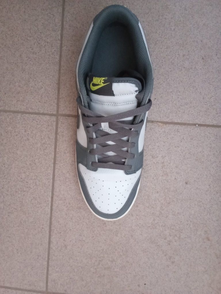Nike dunk low next nature