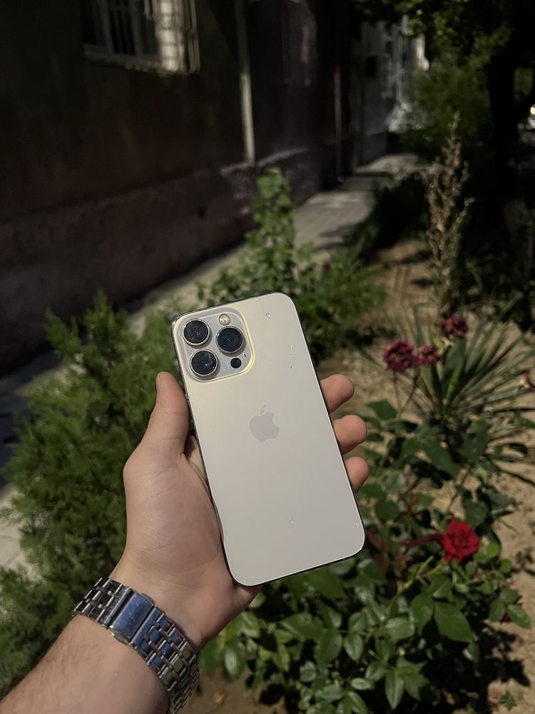 iphone 13 pro ideal